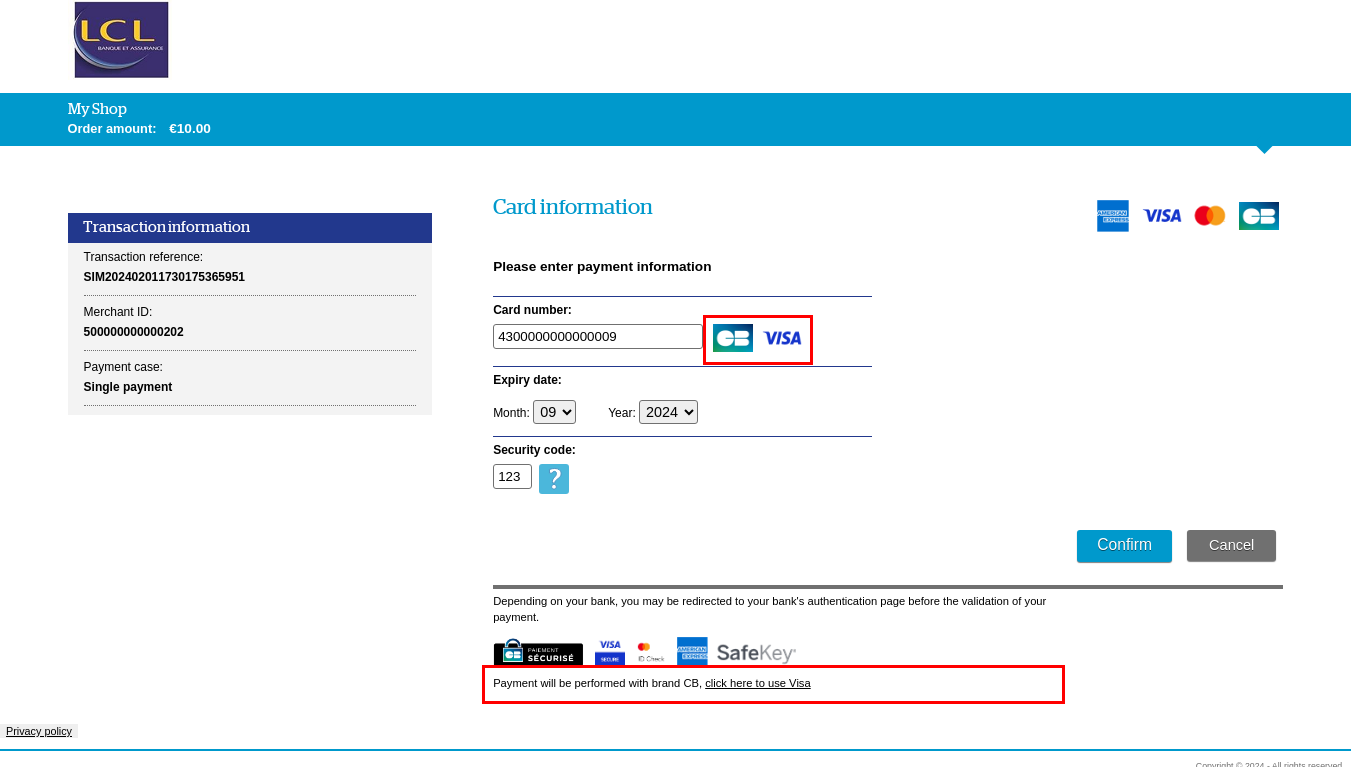 Payment page with highlighting of detected networks and network change link