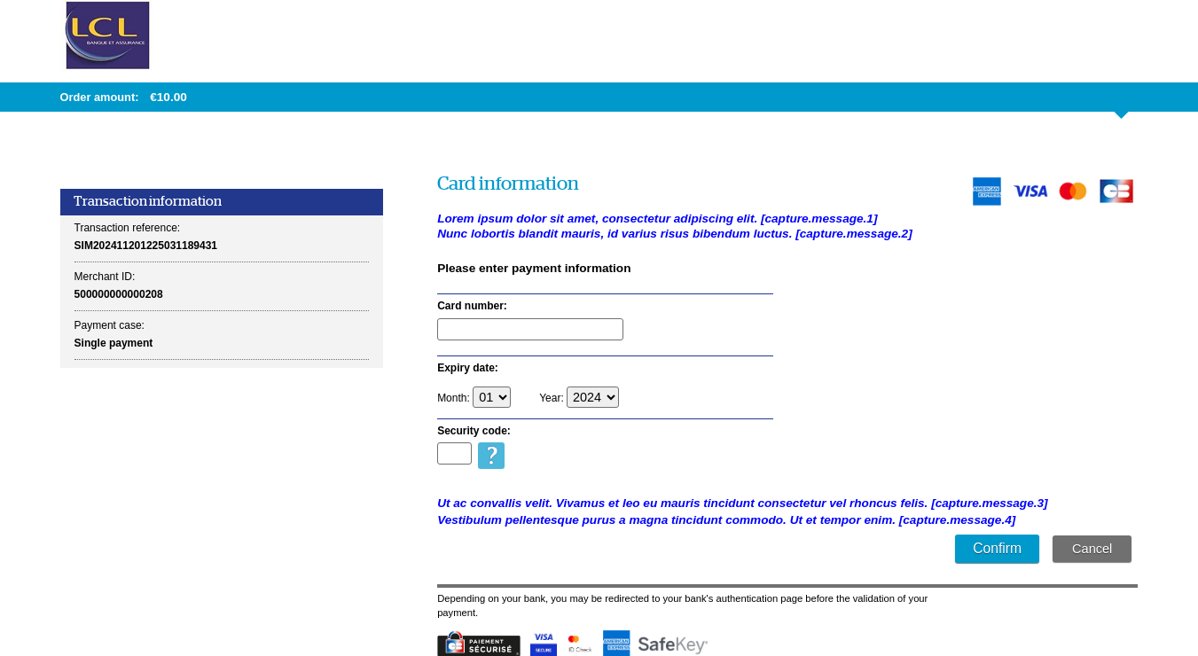 Card data entry page showing location of customizable messages 