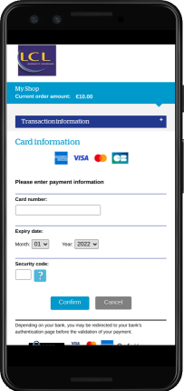 Payment data entry page 